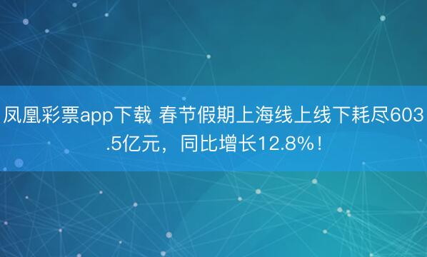 凤凰彩票app下载 春节假期上海线上线下耗尽603.5亿元，同比增长12.8%！