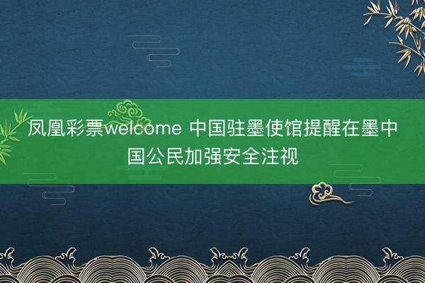 凤凰彩票welcome 中国驻墨使馆提醒在墨中国公民加强安全注视