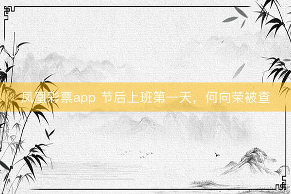 凤凰彩票app 节后上班第一天，何向荣被查