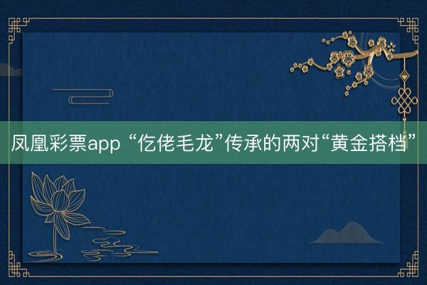 凤凰彩票app “仡佬毛龙”传承的两对“黄金搭档”