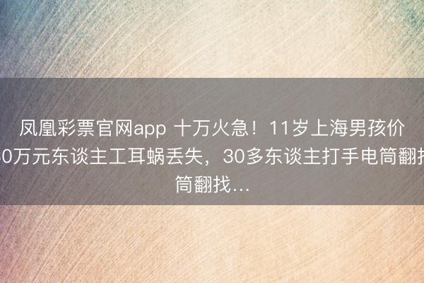 凤凰彩票官网app 十万火急！11岁上海男孩价值30万元东谈主工耳蜗丢失，30多东谈主打手电筒翻找…