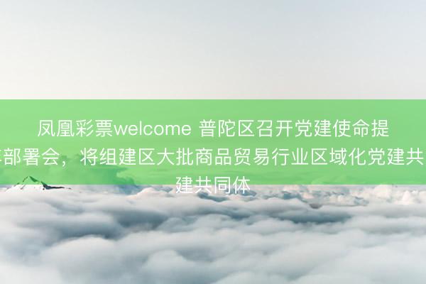 凤凰彩票welcome 普陀区召开党建使命提质年部署会,将组建区大批商品贸易行业区域化党建共同体
