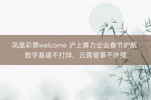 凤凰彩票welcome 沪上算力企业春节护航:数字基建不打烊,云霄管事不休摆