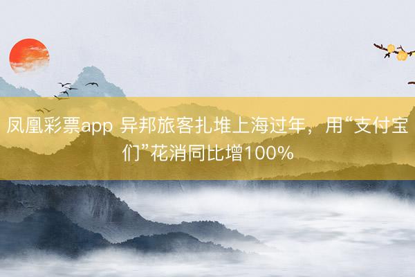 凤凰彩票app 异邦旅客扎堆上海过年，用“支付宝们”花消同比增100%